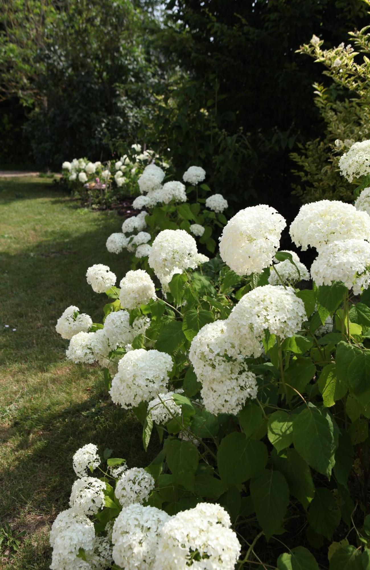 Une Maison, Un Jardin Berthenay Екстер'єр фото